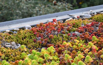 the cost of Newstreet Lane green roof installation